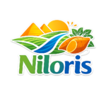 chatgpt image 24 فبراير 2026، 04 02 46 ص