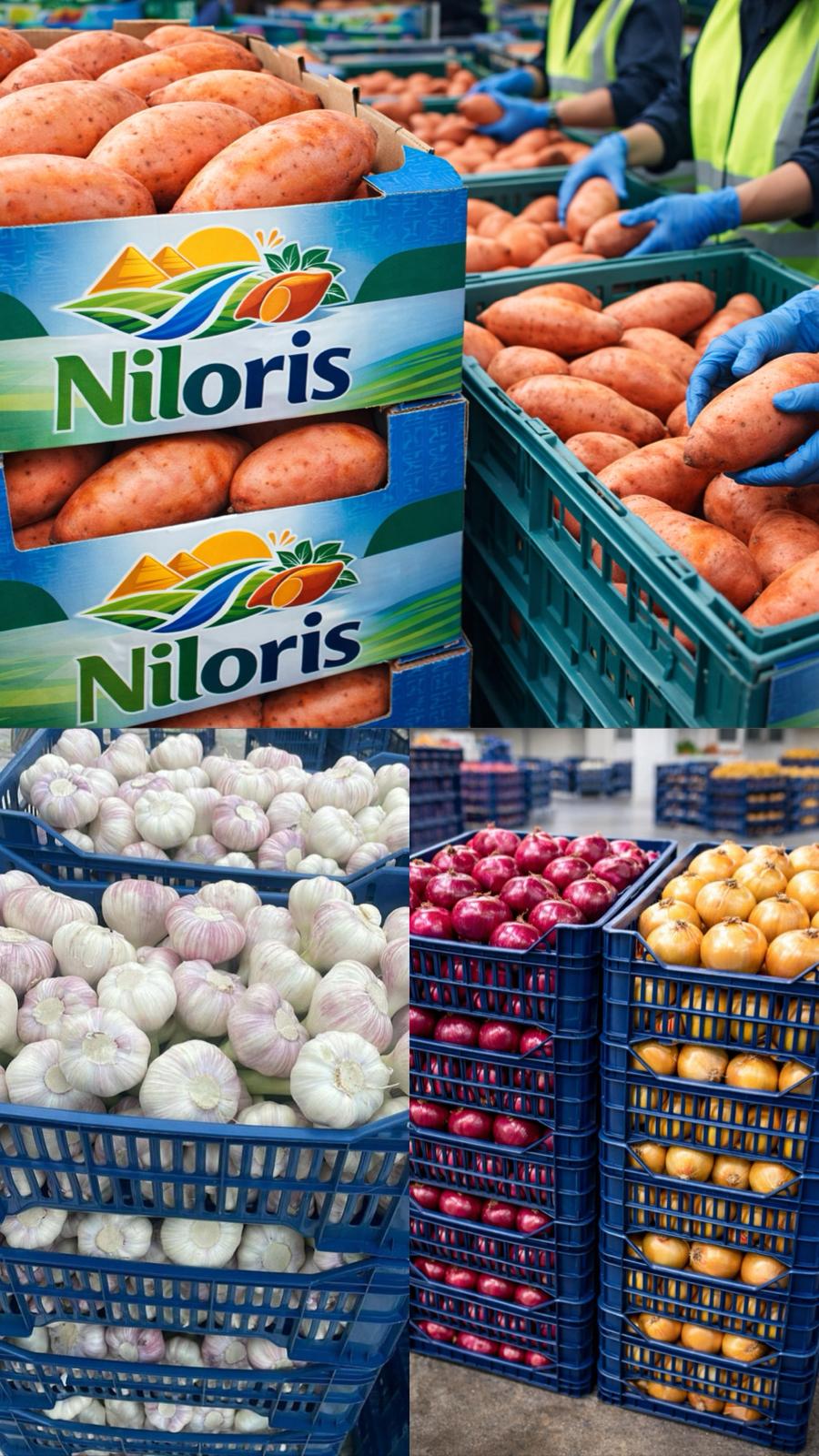 whatsapp image 2026 03 18 at 9.52.37 pm (1)